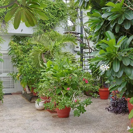 Shanti Niwas-2